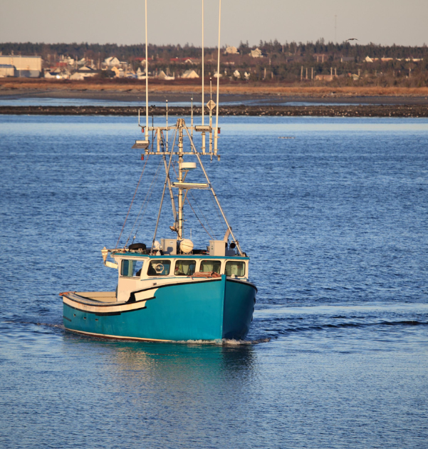 Oceans North Welcomes Moves to Reduce Emissions from Marine Industries in  Nova Scotia's Climate Plan – Oceans North